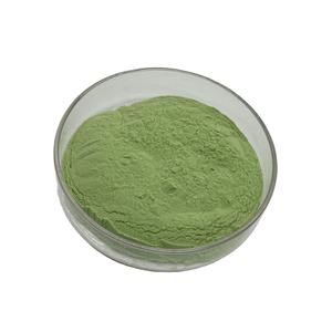 100% pura foglia di menta piperita estratto in polvere di pepe di alta qualità menta in polvere - Product Image 2