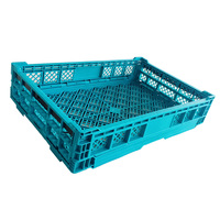 Usine en gros caisse/panier en plastique pliable pour l'agriculture fruits légumes PP panier pliant en plastique