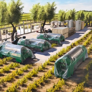 Nouvelle Machine Automatique <span class=keywords><strong>d</strong></span>'Extraction <span class=keywords><strong>d</strong></span>'<span class=keywords><strong>Huile</strong></span> <span class=keywords><strong>d</strong></span>'<span class=keywords><strong>Olive</strong></span> <span class=keywords><strong>Extra</strong></span> <span class=keywords><strong>Vierge</strong></span> 8T/H Centrifugeuse à <span class=keywords><strong>D</strong></span>écanteur Triphasée Moteur Roulement Matière Première Végétale - Product Image 2