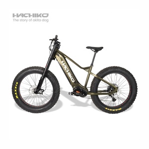 Vélo de montagne H-ZC H-ZC en aluminium avec moteur central puissant de 1000 W, populaire, 26 pouces, 12 vitesses, tout-terrain - Product Image 3