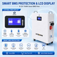 Batterie solaire au lithium Hysonn 230Ah de type mural 51,2V 11kWh avec BMS intelligent pour les installateurs de systèmes photovoltaïques et la fourniture de stock à l'étranger