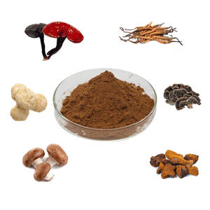 En kaliteli organik karışık mantar özü karışımı toz aslanlar Mane, Reishi, Cordyceps, <span class=keywords><strong>Shiitake</strong></span> 7 in 1 mantar karışımı tozu - Product Image 1