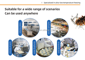 Refrigerador y Congelador Profesional de Acero Inoxidable, Apto para Hoteles y Carnicerías, Modelo Vertical de Baja Temperatura - Product Image 6