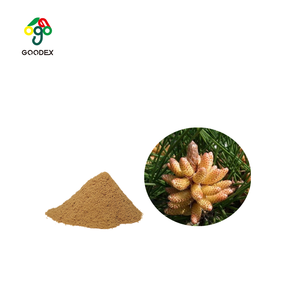 Poudre de pollen de pin sauvage à cellules brisées 20:1 de qualité alimentaire, marque Goodex, extraction liquide-solide, livraison directe – Meilleures ventes - Product Image 2