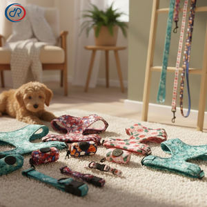 Arnés y Correa para Perro Pequeño, Bonito y Transpirable, de Neopreno Ajustable, Kit de Paseo para Cachorros, para Viajes al Aire Libre - Product Image 1