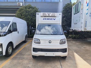 Camion Frigorifero Foton 4X2, Ottime Prestazioni di Guida, Prezzo Conveniente - Product Image 2