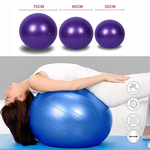 Balón de Yoga Antiexplosión de PVC Engrosado, Balón de Ejercicio para Gimnasio en Casa, Entrenamiento y Equilibrio con Bomba - Product Image 4