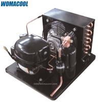 Unit kondensor Mini Motor SC15G 1/2 HP, kompresor kondensor R134a kulkas 115V/220V untuk ruang dingin