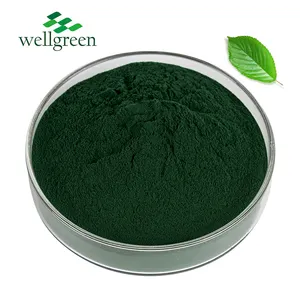 100% Wellgreen naturale pigmento verde sodio rame clorofillina in polvere