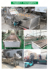 Lavador de Piñas Ecológico con Sistema de Reciclaje de Agua - Product Image 4
