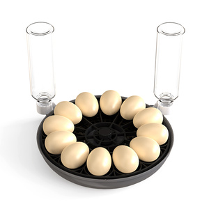 Incubateur d'<span class=keywords><strong>œufs</strong></span> électrique <span class=keywords><strong>automatique</strong></span> Wonegg Farms Nurture Right à <span class=keywords><strong>12</strong></span> voix pour l'éclosion des poussins avec vue à 360 degrés - Product Image 6