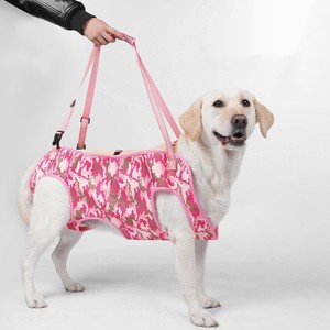 สายรัดยกสุนัขแบบปรับได้ QUCHONPET NEW รุ่นใหม่ พร้อมกระเป๋า สายรัดแบบเต็มตัว ระบายอากาศได้ดี สำหรับสุนัขสูงวัยที่มีปัญหาการทรงตัวขณะเดิน - Product Image 1
