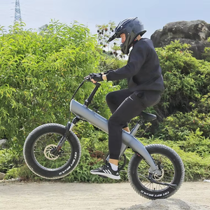 Vélo électrique hybride pliable tout-terrain avec pneus larges de 20 pouces, moteur 48V, autonomie de 75 km, livraison directe depuis l'entrepôt UE/États-Unis/Royaume-Uni - Product Image 1