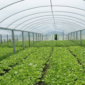 L'usine chinoise fournit un film plastique de serre anti-goutte traité aux UV <span class=keywords><strong>fraise</strong></span> <span class=keywords><strong>bleue</strong></span> pour l'agriculture serre de <span class=keywords><strong>fraise</strong></span> - Product Image 6