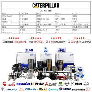 Запасные части двигателя для экскаватора CAT 320C 3306 C4.2 C4.4 C6.6 C7 C7.1 C9 C9.3 C13 C15 комплект для капитального ремонта гусеницы - Product Image 2