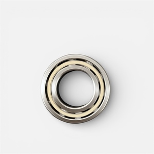 Rodamiento de Acero Inoxidable 6004 20x42x12mm S6004 2RS, Resistente al Agua, Grado Alimenticio, para Bombas, Motores, Envasado de Bebidas, Uso Marino - Product Image 2