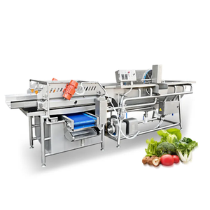 Planta Procesadora de Frutas y Verduras con Lavado por Vórtice, de Acero Inoxidable 304 Ligero, 220/380V, 1 Año de Garantía - Product Image 5