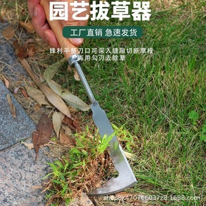 Curved Blade Wood Handle Stainless Steel Crevice Weeding Knife For Garden Weed Removal - Product Image 2