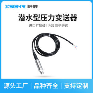 PCM500Y เครื่องส่งสัญญาณความดันสแตนเลส 4-20mA IP68 เซ็นเซอร์วัดระดับแบบจุ่มใต้น้ำชนิดซิลิคอนแบบกระจาย - Product Image 4