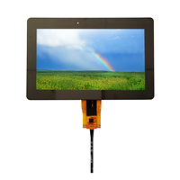 Industrielles 7-Zoll-TFT-LCD 1024x600 für Handheld-Terminals und OEM-Lieferungen mit Touchscreen
