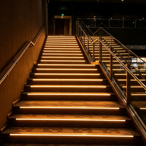 Lámpara LED de 5mm para Escaleras de Cine, con Clasificación IP68, Material PMMA, Tira de Luz Decorativa para Ingeniería - Product Image 5