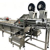 Automatische fruitproductielijn met pasteurisator en mixer, capaciteit 1200-1600 kg/uur, vermogen 5500 kW