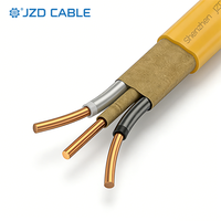 JZD 600V 90 ℃   Câble jaune de type NM-B FT1 avec gaine en PVC ignifuge et terre nue pour câblage de circuit de branche de maison modulaire préfabriquée