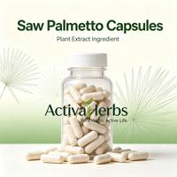 Extrait de Palmier Nain de Haute Qualité en Poudre, Acides Gras 25% 45%, Extrait de Serenoa Repens pour la Santé Masculine, Approvisionnement en Gros