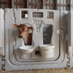 小牛外壳塑料室内小牛笔室内小牛