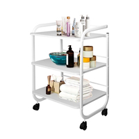 Prix d'usine Oem Odm Meubles Blanc En Acier Inoxydable 3 Niveaux Utilitaire Rolling Spa Chariot Chariot Salon Chariot