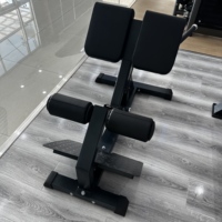Chaise romaine professionnelle réglable pour l'entraînement des fessiers et du bas du dos, avec cadre en acier stable