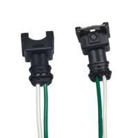 Produsen Kabel Harness Sensor Injektor Bahan Bakar Konektor EV1 2 Pin Otomatis Grosir