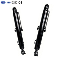 Vérin hydraulique robuste à tige de 40 mm, 25 MPa, avec œil pivotant et raccord externe pour mini-excavatrice
