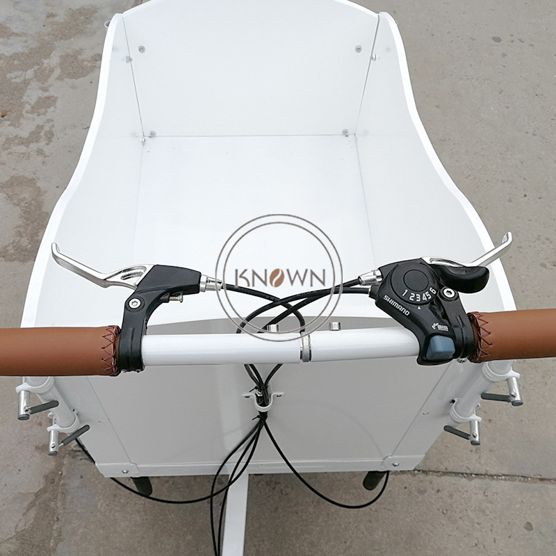 レア海外製　韓国ポロロ 三輪車 日よけ付き 2024ヨーロピアンスタイル電動三輪車大人用カーゴバイク高品質