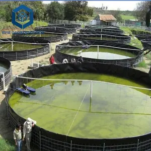 0.5Mm Không Thấm Nước Polyethylene Màng Địa Kỹ Thuật Nhựa Liner 0.7Mm Fish Pond Liner 1Mm Geo Màng Nước Tank Liner