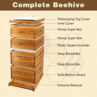 10-Rahmen-Bienenstock, im Bienenwachs getaucht, Langstroth Komplett-Bienenstock-Starter-Kit, inklusive 2 tiefen Kasten und 2 mittelgroßen Super-Kästen