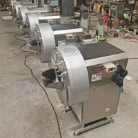 Commerciële wortelgroente snijmachine van roestvrij staal, automatische wortelen, radijs en gember snijmachine