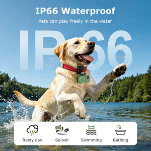 Caméra GPS 4G pour animaux de compagnie, IP66, localisateur anti-perte pour chien et chat, géolocalisation, suivi en temps réel, surveillance de l'activité, caméra POV pour animaux de compagnie - Product Image 6