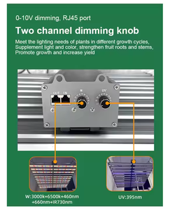 LM301 <span class=keywords><strong>Samsung</strong></span> 1200w LED Full Spectrum Grow Light de Hortibloom Indoor Vegetable Flower Plant LED Growing Light - Product Image 4