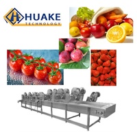 Industriële continue bubbelwasmachine, volautomatische reinigingsapparatuur voor bladgroenten, fruit en bessen