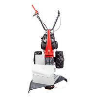 EUROSYSTEMS Débroussailleuse Minieffe avec moteur Briggs & Stratton inversé Tondeuse à gazon à brosse manuelle largement utilisée