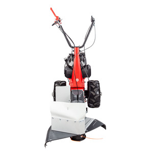 EUROSYSTEMS Débroussailleuse Minieffe avec moteur Briggs & Stratton inversé Tondeuse à gazon à brosse manuelle largement utilisée - Product Image 3