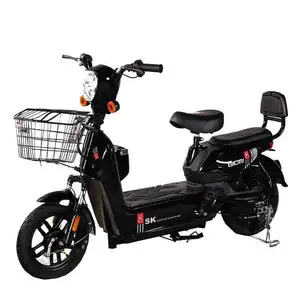 Oude Stijl Goedkope Elektrische Fiets Beste Verkoop 48V 500W Dikke Band Elektrische Fiets/Twee Persoons Elektrische Fiets