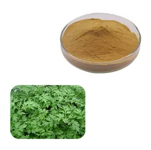 100% Wormwood Murni/Bubuk Ekstrak Herbal Daun Aiye untuk Perawatan Kulit