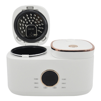 Double bol intelligent 800w 2l double pot prix automatique intelligent petit multifonction numérique mini cuiseur à riz électrique