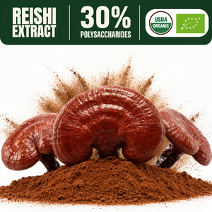 Qinshantang China Organic Food Grade Reishi <strong>Mushroom</strong> 30% Polysacchairde White Extract Concentrate Powder - Product Image 1