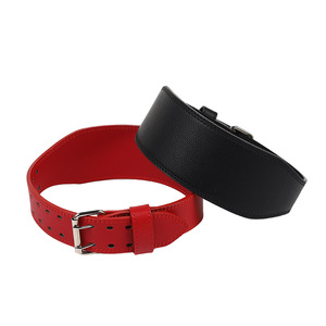 Cinturones de Levantamiento de Pesas, Accesorios de Gimnasio, Cinturón de Soporte Lumbar para Levantamiento de Pesas para Mujeres - Product Image 1