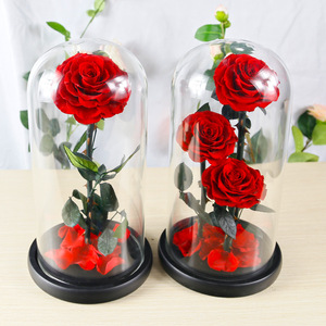 10cm rojo fresco conservado rosa en cúpula <span class=keywords><strong>de</strong></span> <span class=keywords><strong>cristal</strong></span> como regalo y decoración <span class=keywords><strong>de</strong></span> sala <span class=keywords><strong>de</strong></span> estar - Product Image 1