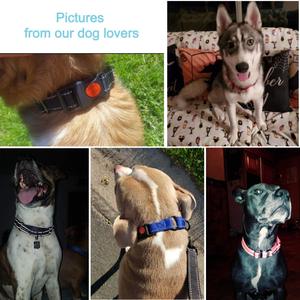 <span class=keywords><strong>Collar</strong></span> reflectante de nailon y poliéster para perros <span class=keywords><strong>martingale</strong></span>, Juego de <span class=keywords><strong>2</strong></span> pulgadas, OEM/ODM - Product Image 6