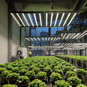 Lámpara de Cultivo LED de 1200W Plegable de Espectro Completo UV IR Rojo Azul con Chips Samsung IP54 para Plantas de Interior y Agricultura Vertical - Product Image 1